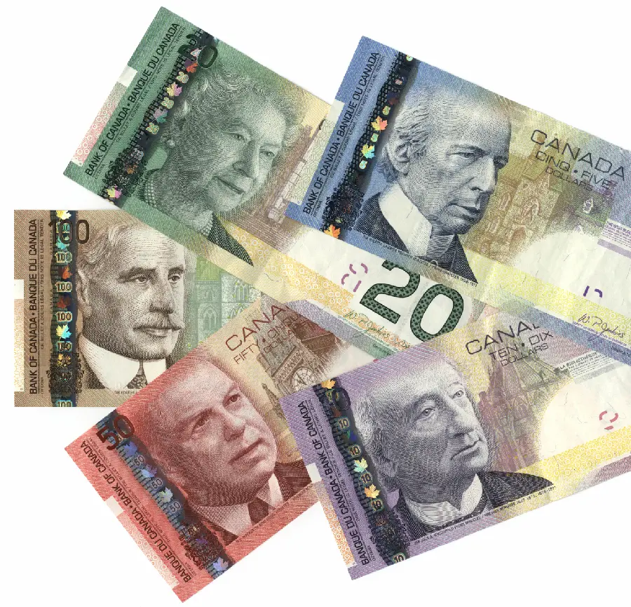 US Dollar Bill