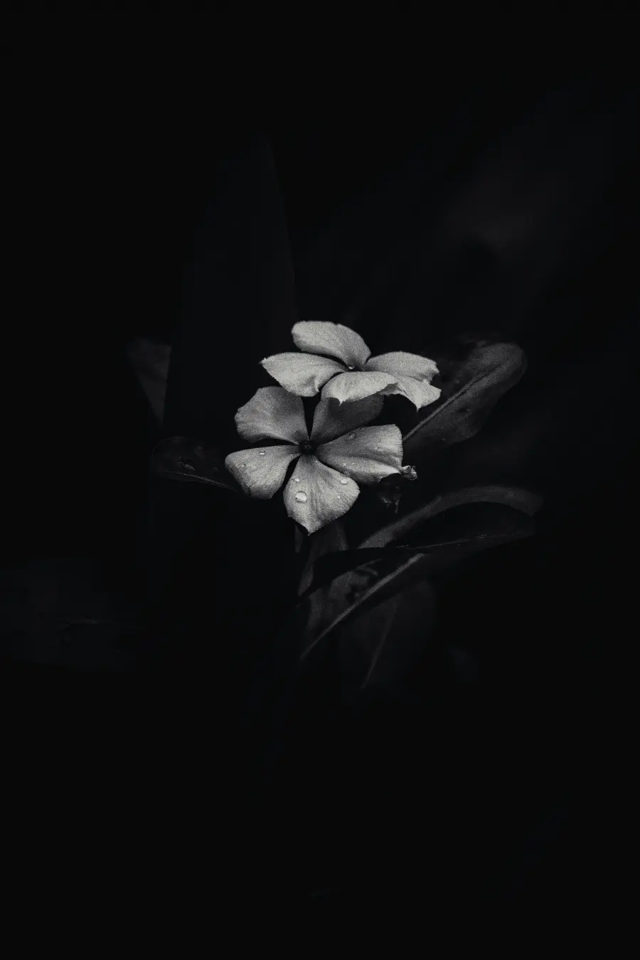 Simple Black Wallpaper
