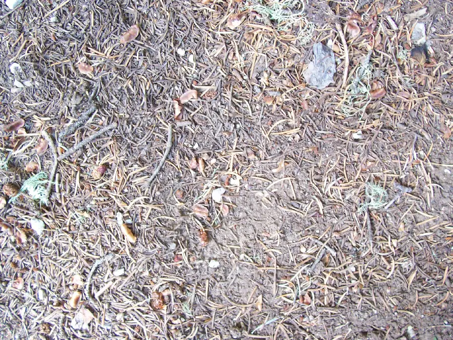 Photos with Ground Floor Quality Land Materials and Natural Features