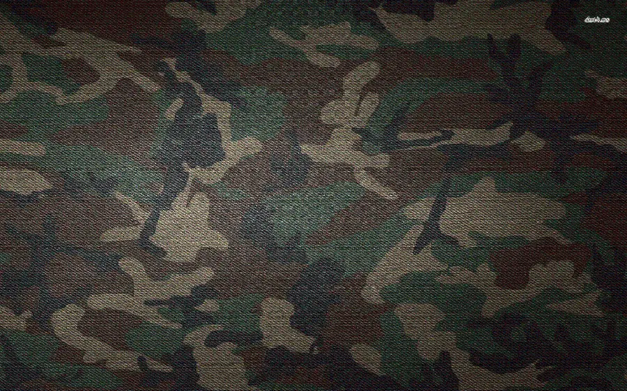 Download High Quality Photo of Military Camouflage Fabric