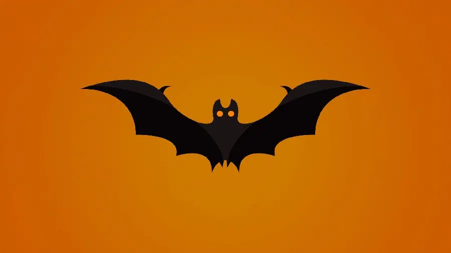 Cartoon Bat Photo