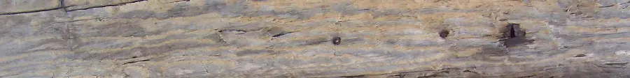 Free Download Wood Lumber Texture