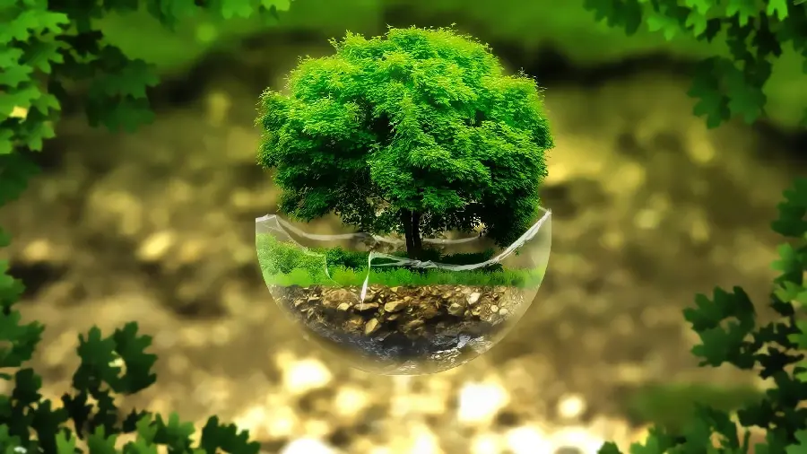 Fantasy tree background in a beautiful glass vase