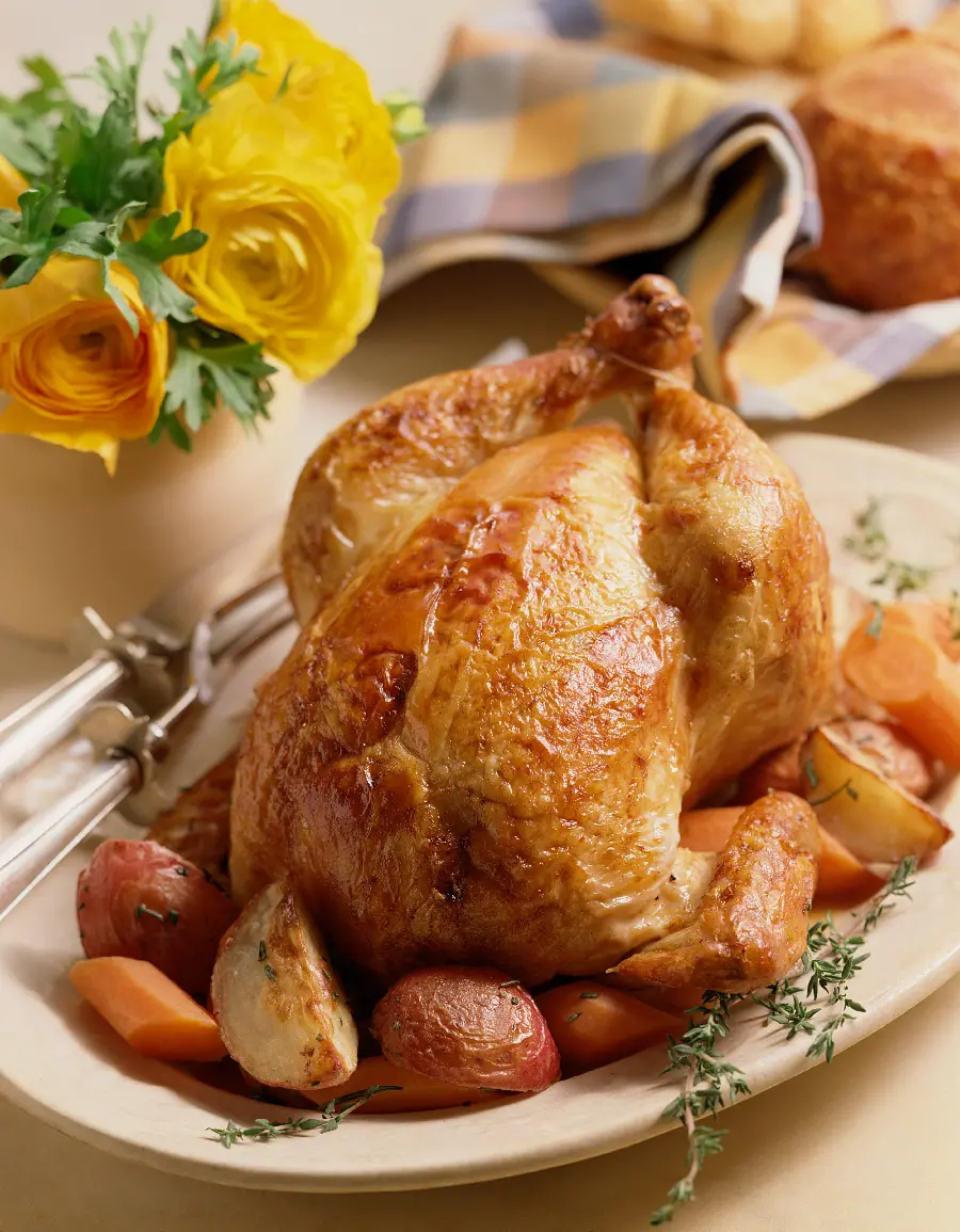 Brion Chicken Stock Photo for Social Media