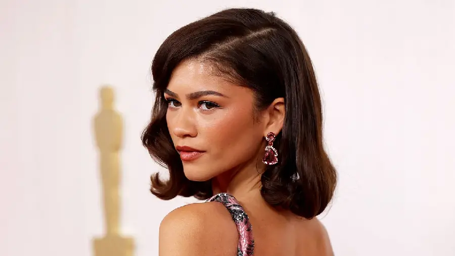 Photos of Zendaya on the red carpet of the Oscars 2024