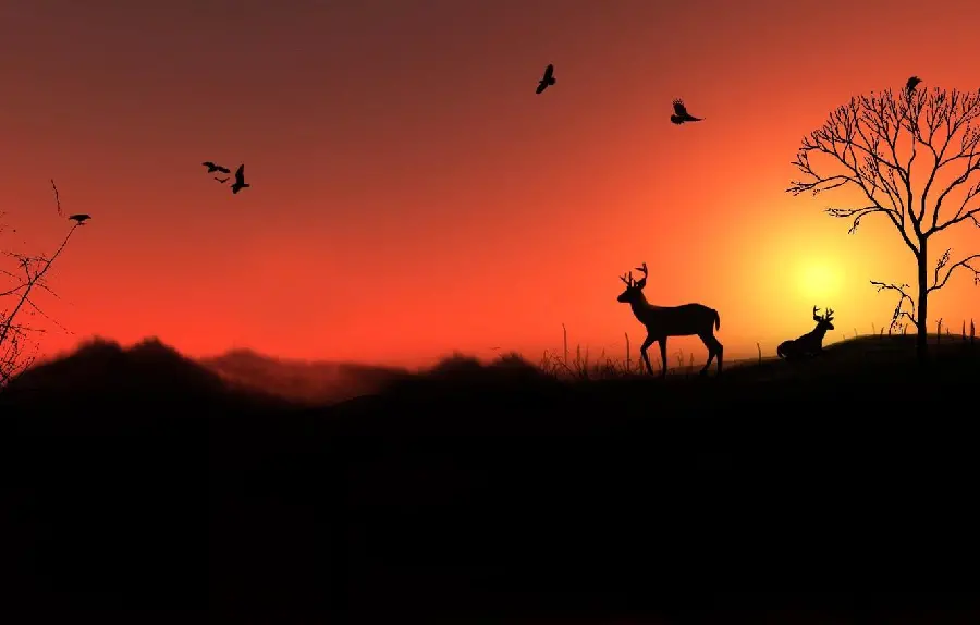 A suitable photo for desktop of a sunset and a flying deer