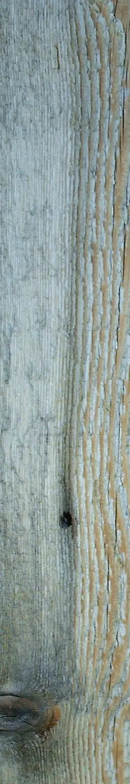 Wooden plank