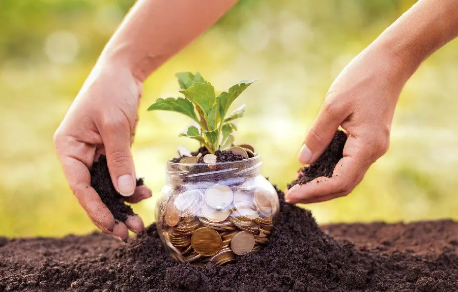 Tree planting image with the concept of investing in the future