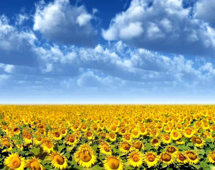 Energetic nature photos from different parts of the world