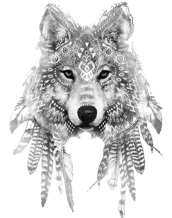 Amazing image of a black and white Indian wolf painting PNG