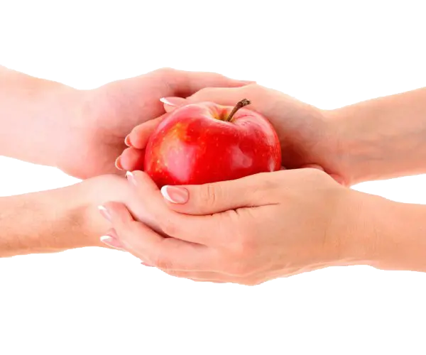 PNG single apple in two people's hands for graphic work