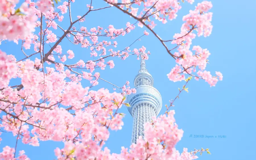 Spring pastel