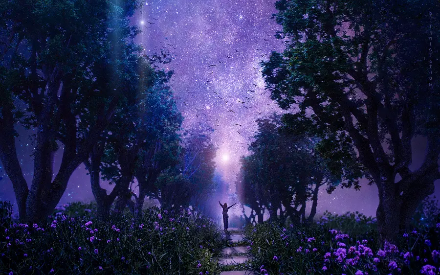 Lavender