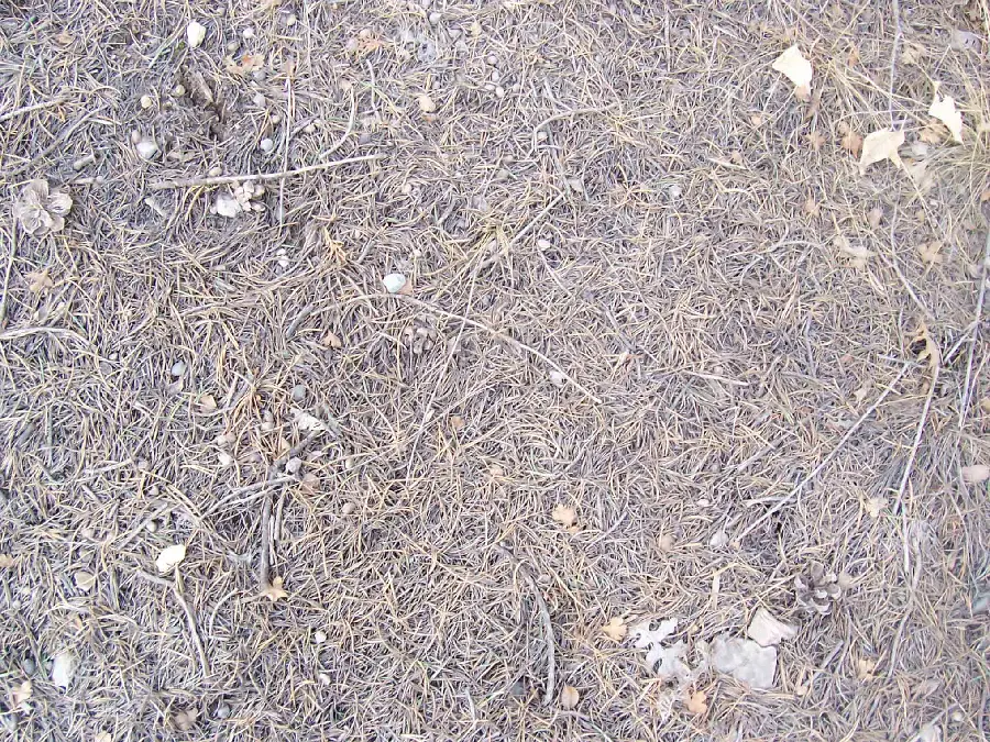 Background image and texture of earth material and natural features