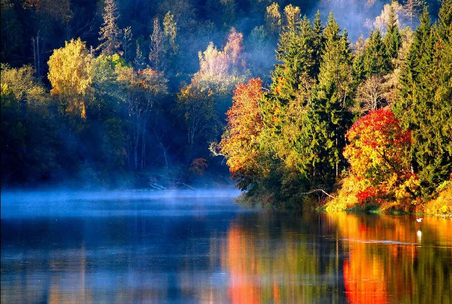 Download image quality of the pristine nature of the big lake