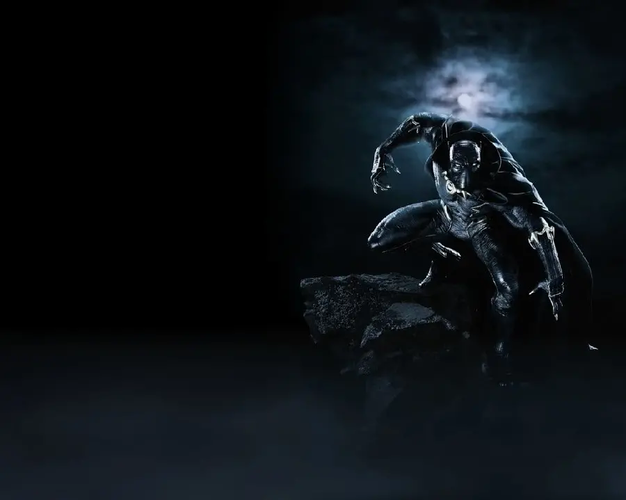 Black Panther King