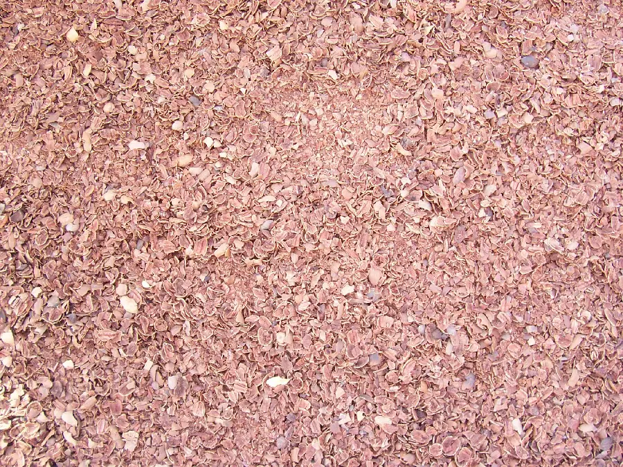 Earth material and natural features