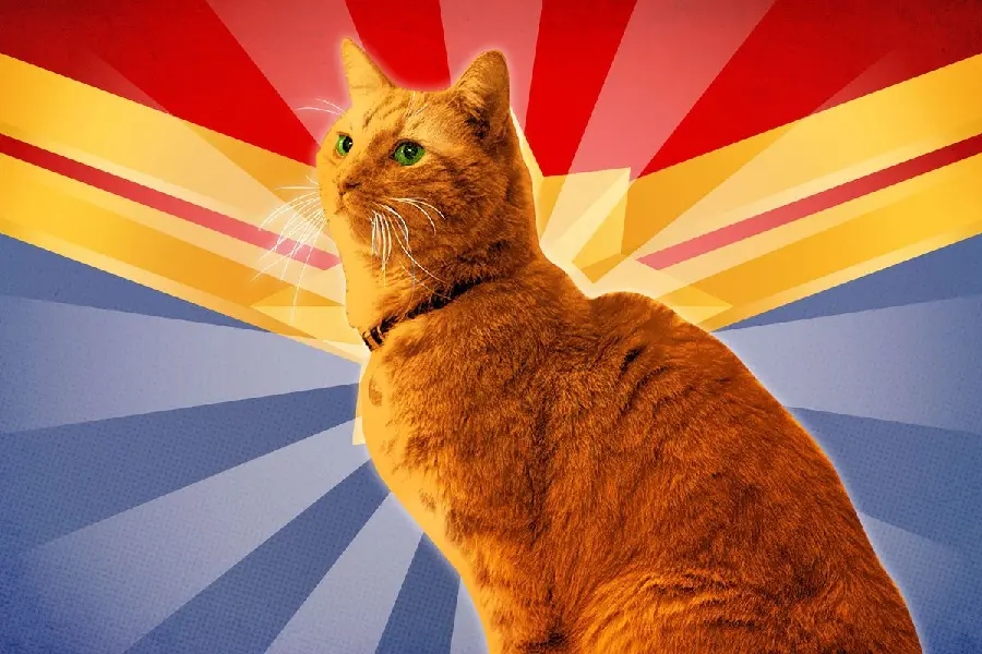Captain Marvel Goose