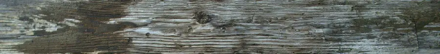 Wood lumber