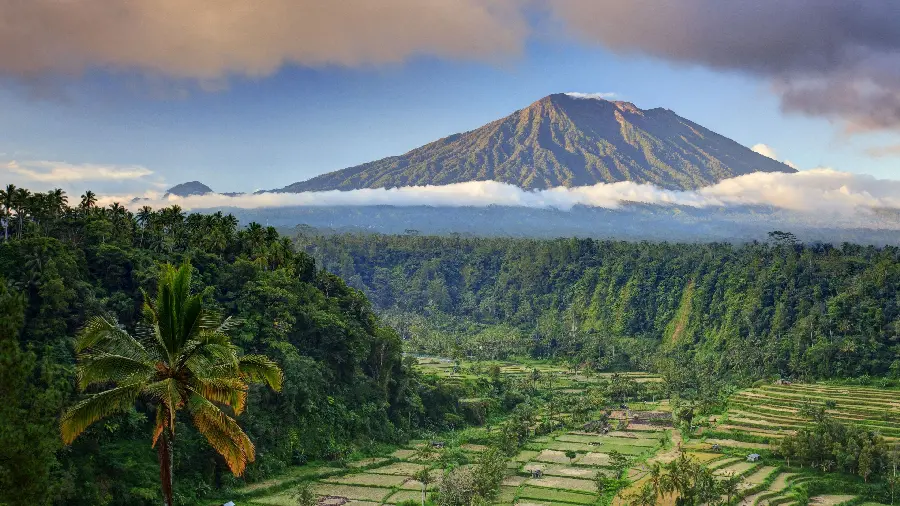 Bali Indonesia Nature Mountain and Forest Photo