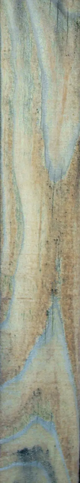 Wood plank