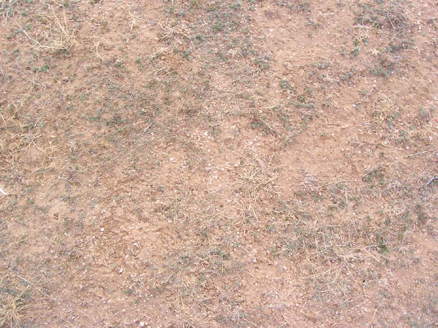 Photo of dirt land for Land Material and Natural Features