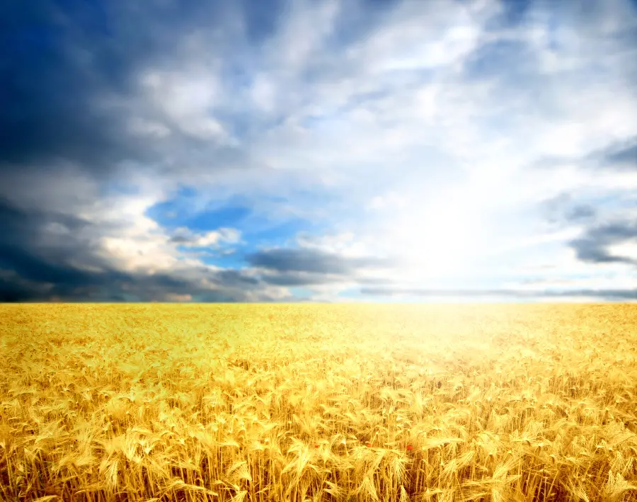 Nature Photo 1403 and Beautiful Landscape Photo for Profile