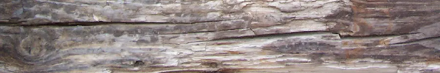 Wooden Lumber