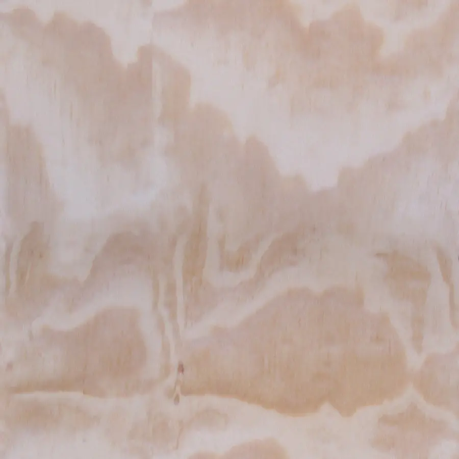 Wood Texture and Material Interior Design in Light Color