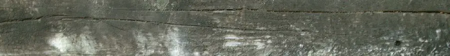 High Quality Photo of Wood Lumber Texture
