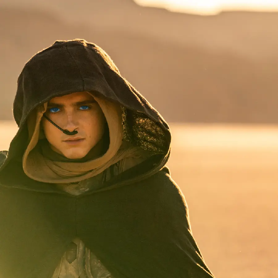 Stylish and special profile photo from Dune Part 2 movie sequence