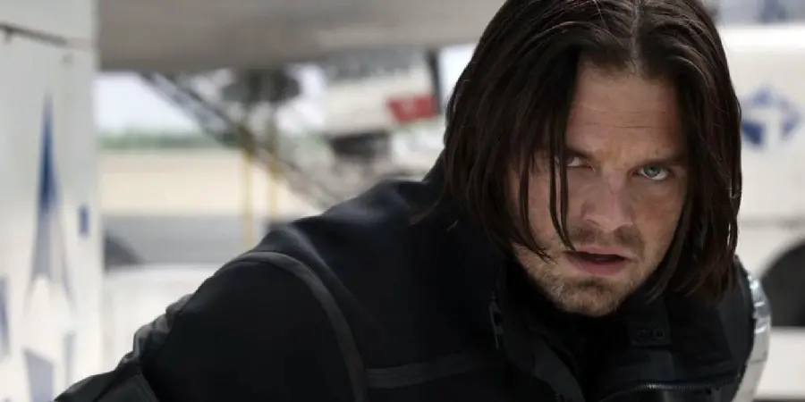 Winter Soldier Stock Photo