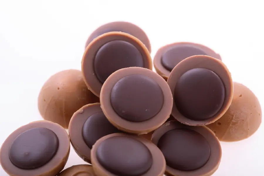 Chocolate and cocoa
