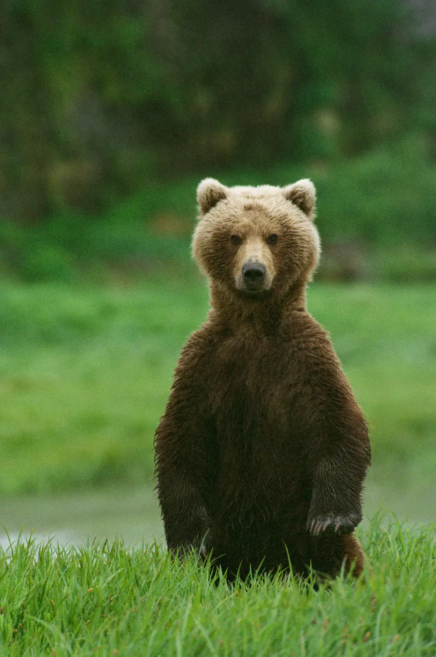 The most beautiful wildlife photo