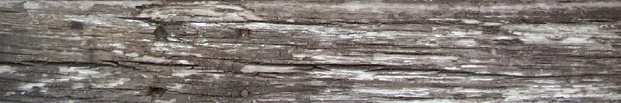 Wood Timber