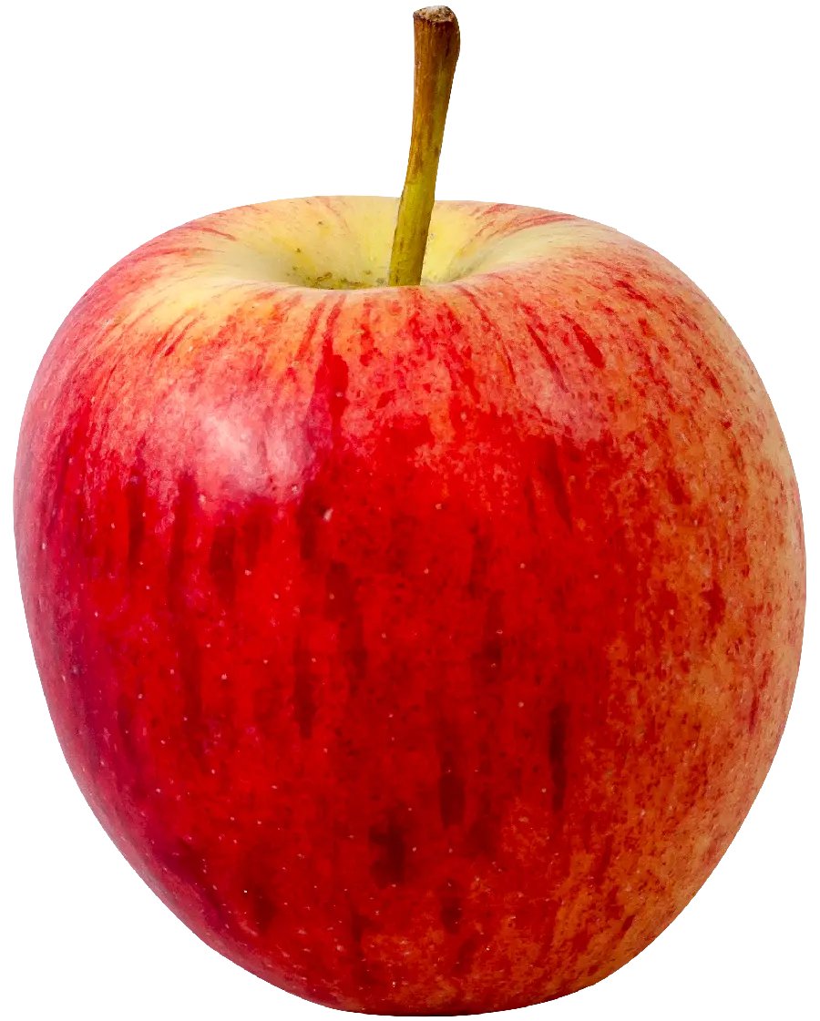 Single apple PNG