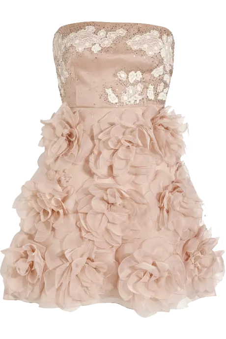 High quality evening dress photo