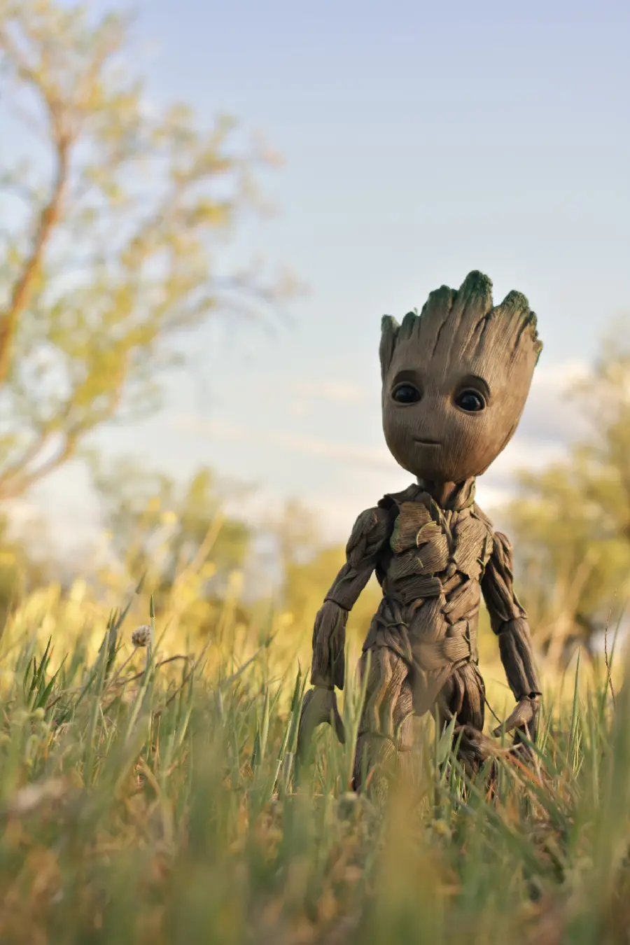 Background for your phone of Groot in nature