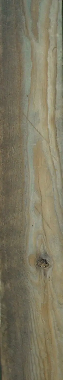 Download quality image of wood plank