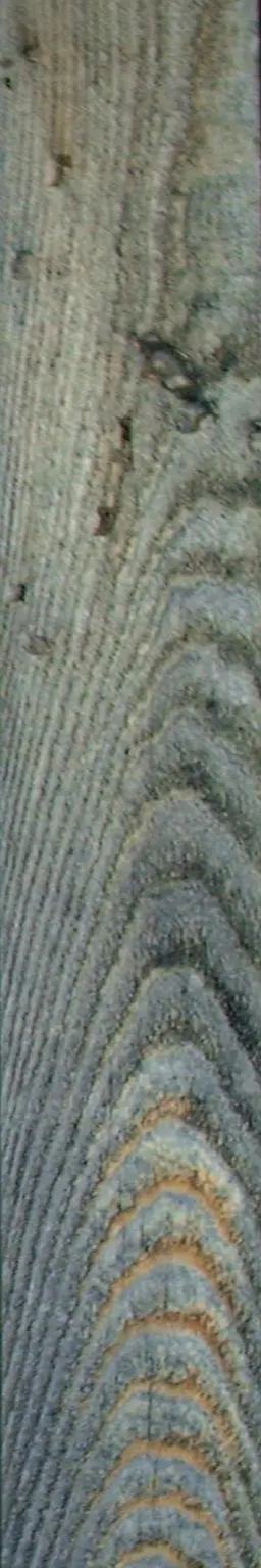 Wood plank