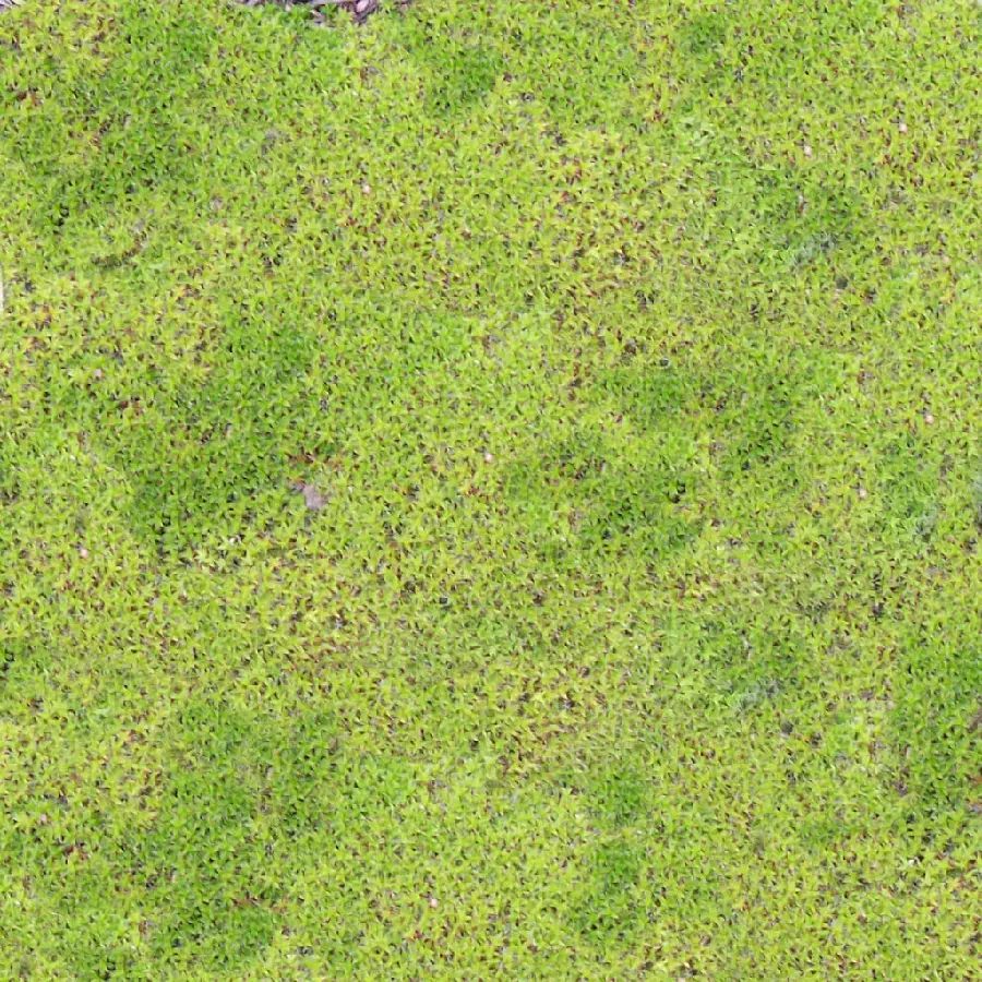 Land Materials and Natural Features