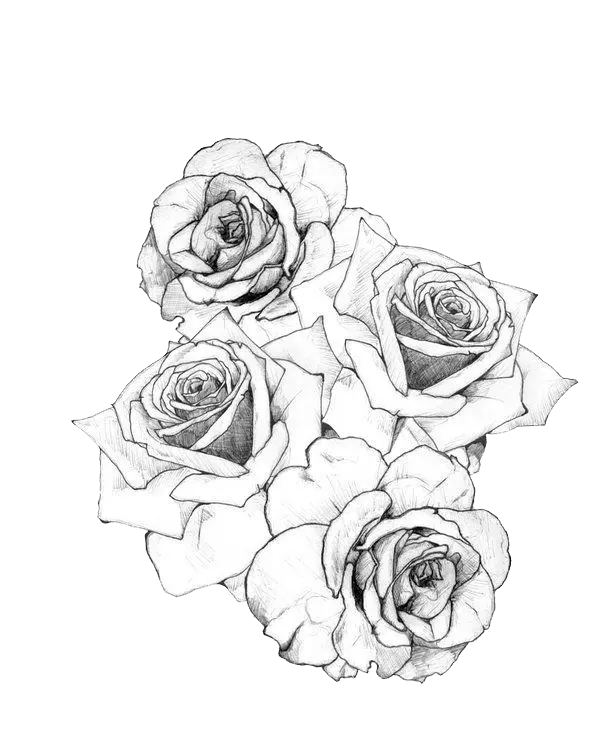 Simple Flower Drawing for Tattoo or Tattoo PNG