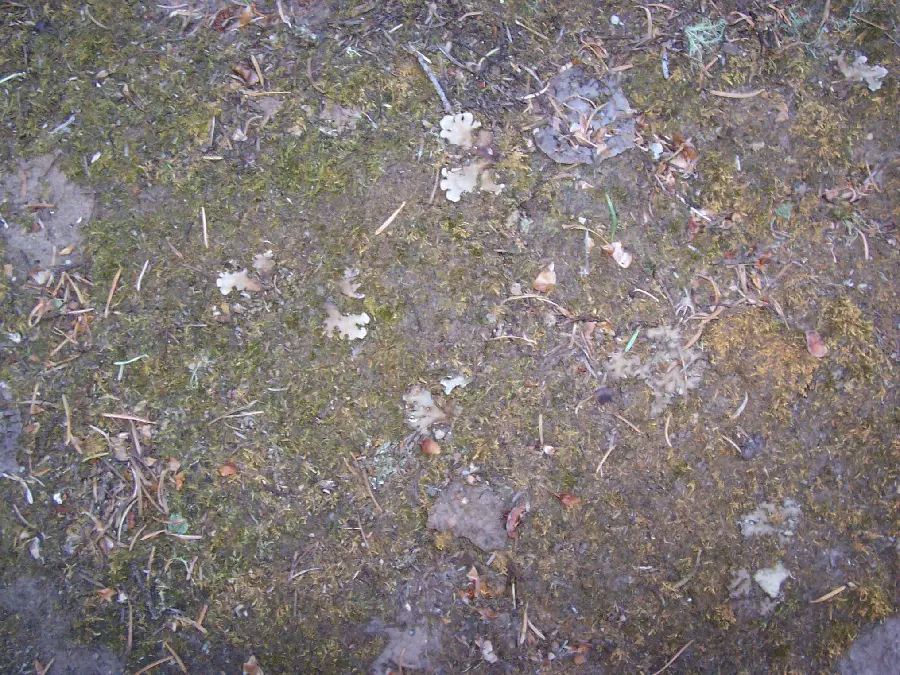 Land Material and Natural Features