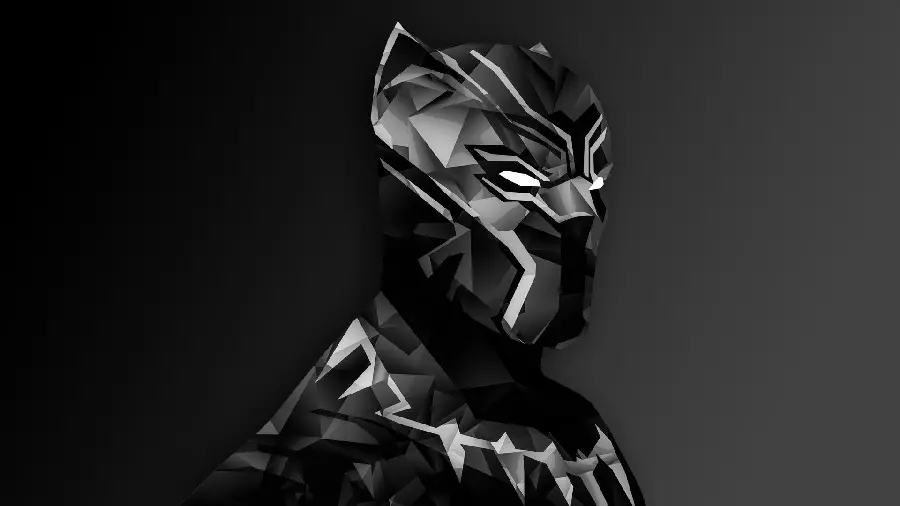 Black Panther King