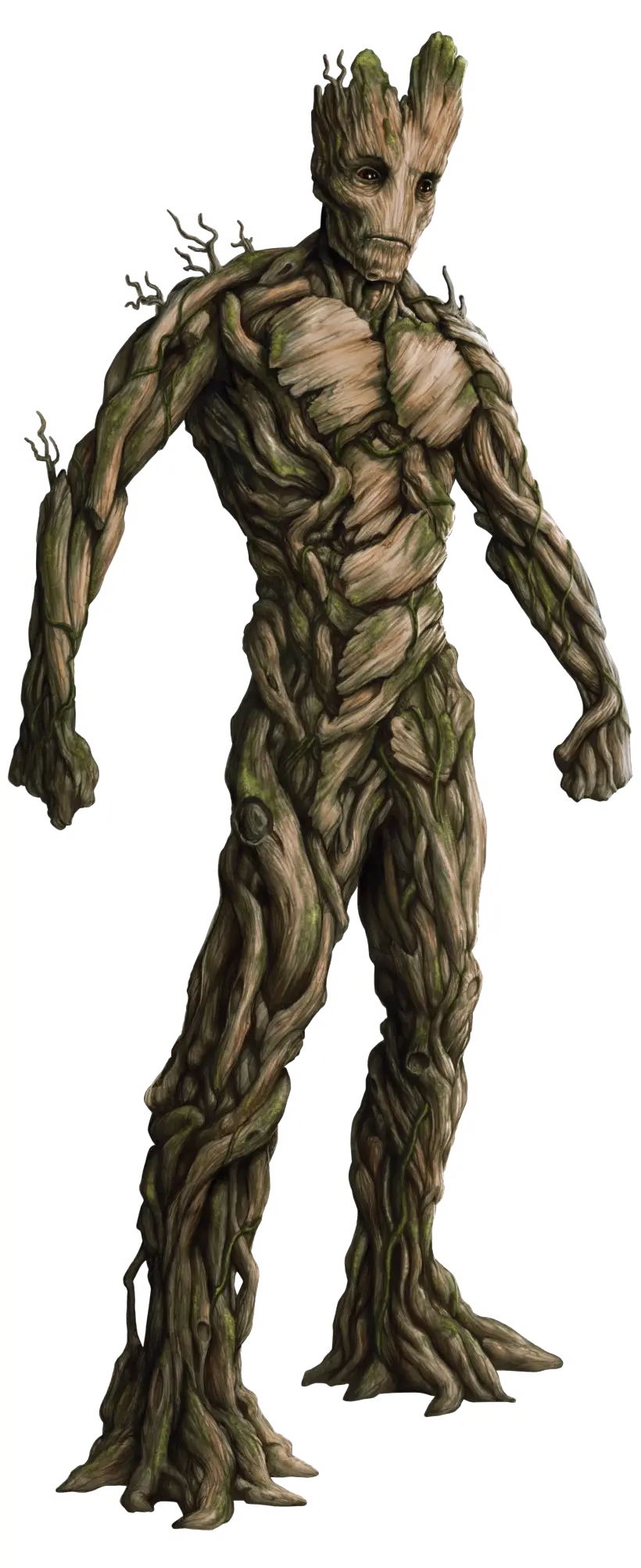 Adult Groot Photo