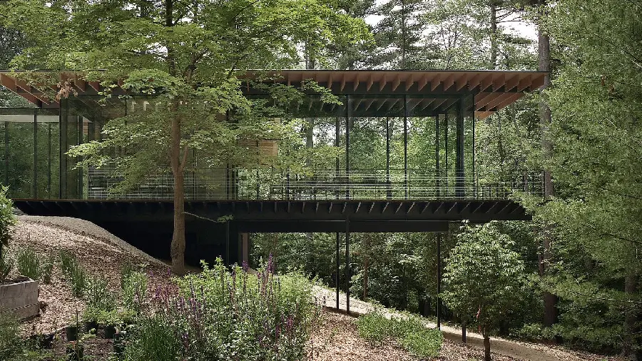 Background of a villa with a glass facade of the forest