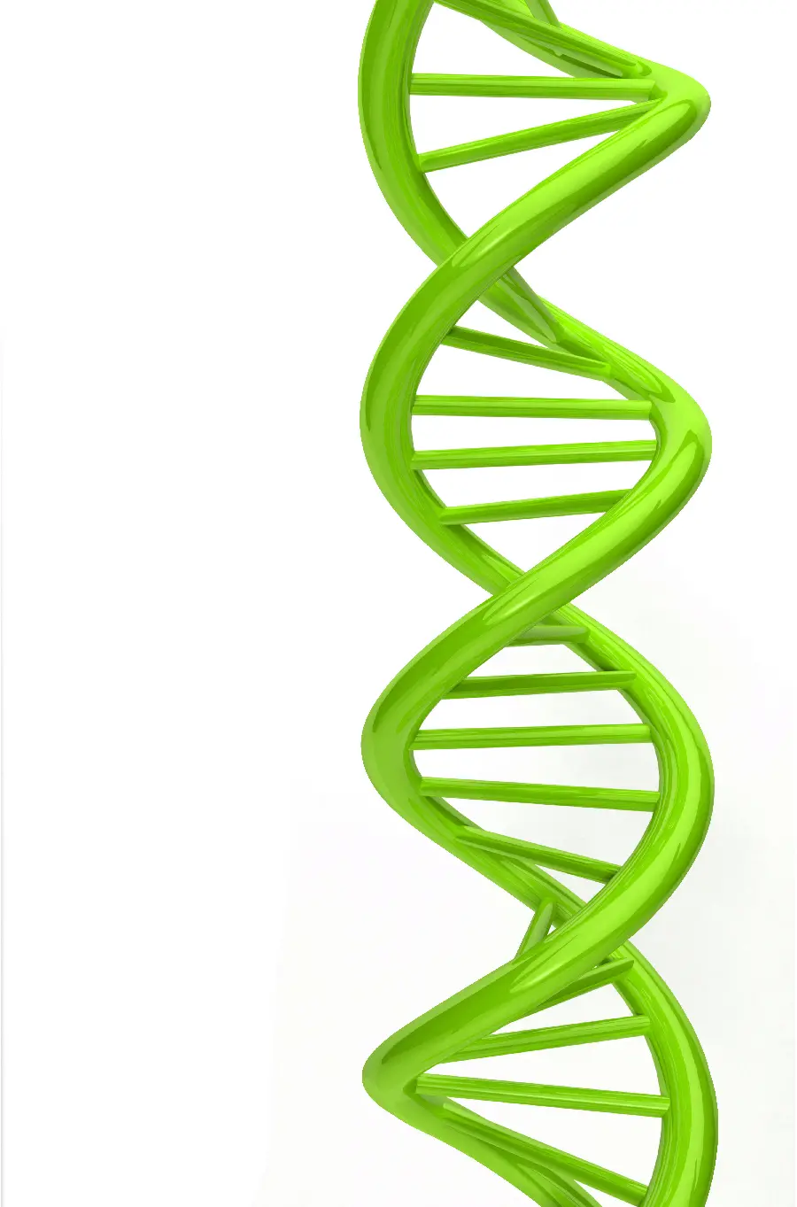 High quality photo of DNA molecular structure