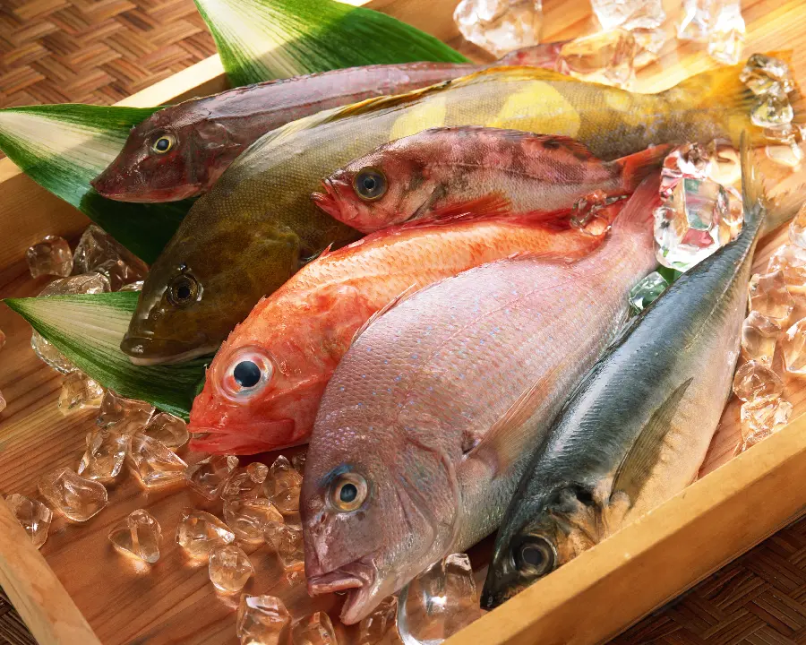 High Quality Seafood Stock Photos