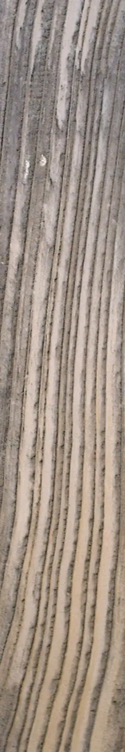 Dark wood plank photo