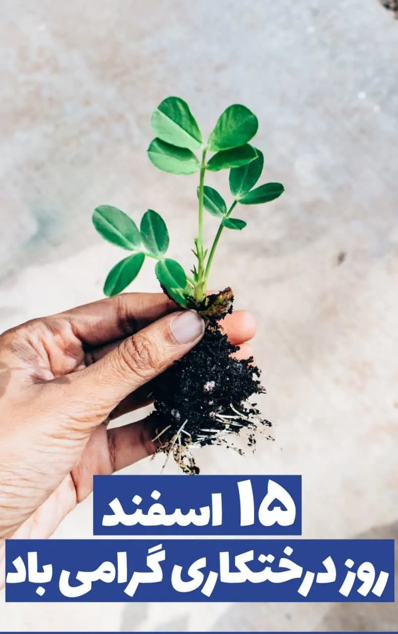 Arbor Day greeting photo on March 15